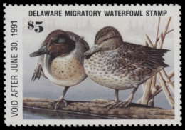 Scan of 1990 Delaware Duck Stamp