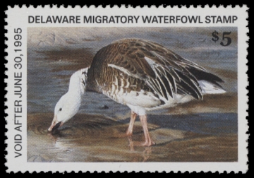 Scan of 1994 Delaware Duck Stamp