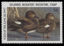 Scan of 1996 Delaware Duck Stamp