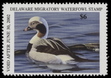 Scan of 2001 Delaware Duck Stamp