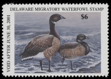 Scan of 2000 Delaware Duck Stamp