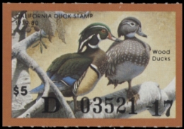 Scan of 1979 California Duck Stamp