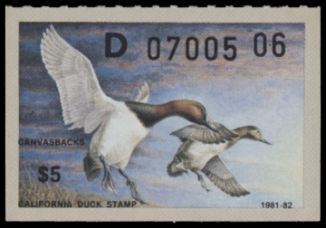 Scan of 1981 California Duck Stamp