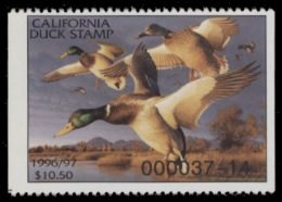 Scan of 1996 California Duck Stamp