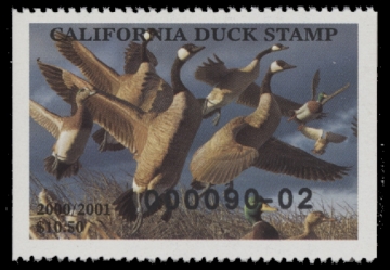 Scan of 2000 California Duck Stamp