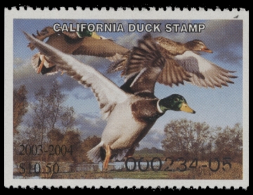 Scan of 2003 California Duck Stamp