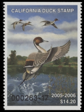 Scan of 2005 California Duck Stamp