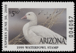 Scan of 1999 Arizona Duck Stamp