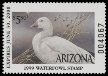 Scan of 1999 Arizona Duck Stamp