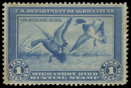 Scan of RW1 1934 Duck Stamp. Unsigned