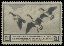 Scan of RW3 1936 Duck Stamp MLH