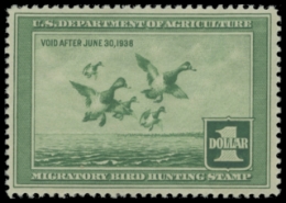 Scan of RW4 1937 Duck Stamp MNH