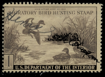 Scan of RW9 1942 Duck Stamp 