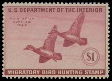 Scan of RW10 1943 Duck Stamp  MNH