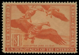 Scan of RW11 1944 Duck Stamp 