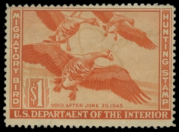 Scan of RW11 1944 Duck Stamp 