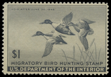 Scan of RW12 1945 Duck Stamp 