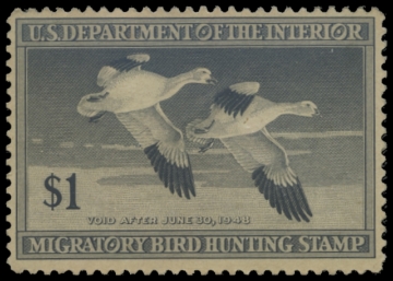 Scan of RW14 1947 Duck Stamp 