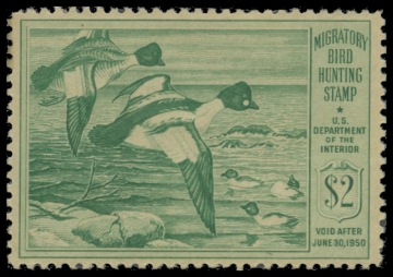 Scan of RW16 1949 Duck Stamp 