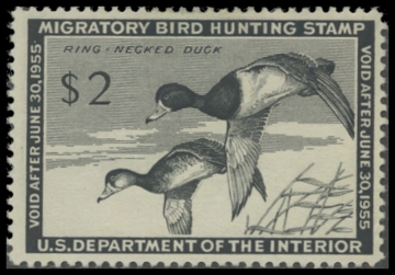 Scan of RW21 1954 Duck Stamp. MLH