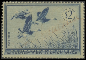 Scan of RW22 1955 Duck Stamp. Used