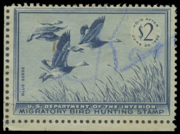 Scan of RW22 1955 Duck Stamp. Used