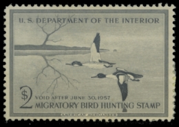 Scan of RW23 1956 Duck Stamp. Unsigned