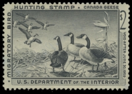 Scan of RW25 1958 Duck Stamp. Unsigned