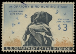 Scan of RW26 1959 Duck Stamp. Unsigned