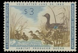 Scan of RW28 1966 Duck Stamp. MLH