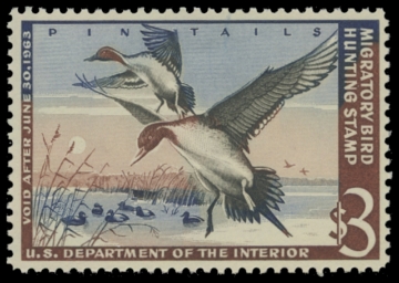 Scan of RW29 1962 Duck Stamp. MLH