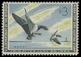 Scan of RW30 1963 Duck Stamp. MNH. F-VF 