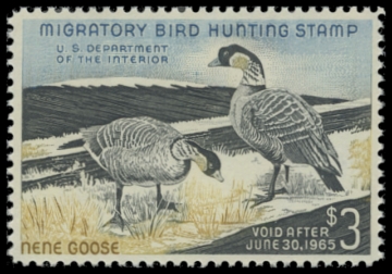 Scan of RW31 1964 Duck Stamp. MLH. F-VF 