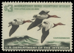 Scan of RW32 1966 Duck Stamp. MLH. F-VF 