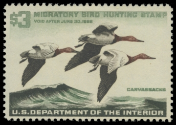 Scan of RW32 1966 Duck Stamp. MLH. F-VF 