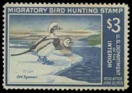 Scan of RW34 1967 Duck Stamp. MLH. F-VF 