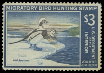 Scan of RW34 1967 Duck Stamp. MLH. F-VF 