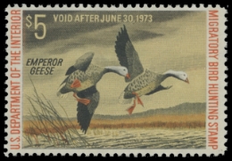 Scan of RW39 1972 Duck Stamp. MLH.  F-VF 