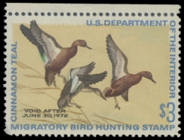 Scan of RW38 1971 Duck Stamp. MLH. F-VF 