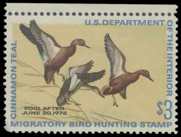 Scan of RW38 1971 Duck Stamp. MLH. F-VF 