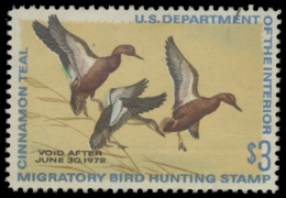 Scan of RW38 1971 Duck Stamp. Unsigned. F-VF 