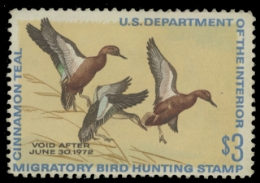 Scan of RW38 1971 Duck Stamp. Unsigned. F-VF 