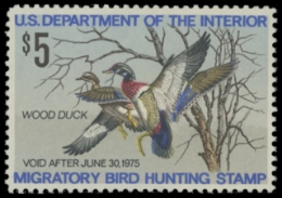 Scan of RW41 1974 Duck Stamp. MNH F-VF 