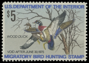 Scan of RW41 1974 Duck Stamp. MNH F-VF 