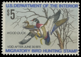 Scan of RW41 1974 Duck Stamp. MNH. F-VF 