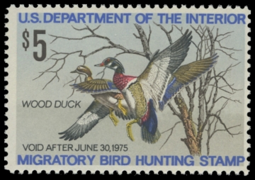 Scan of RW41 1974 Duck Stamp. MNH. F-VF 