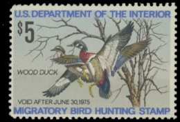 Scan of RW41 1974 Duck Stamp. MLH F-VF 