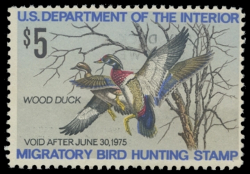 Scan of RW41 1974 Duck Stamp. Unsigned. F-VF 