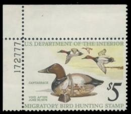 Scan of RW42 1975 Duck Stamp. MLH F-VF 