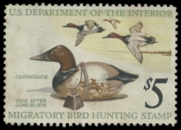 Scan of RW42 1975 Duck Stamp. Unsigned. F-VF 